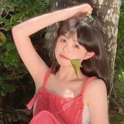 仗剑红尘官方版下载
